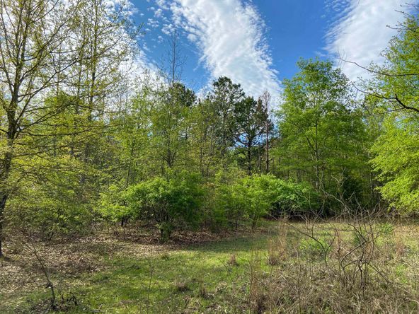 Farris 115 Timber: 00 CR 2215, Daingerfield, TX 75638